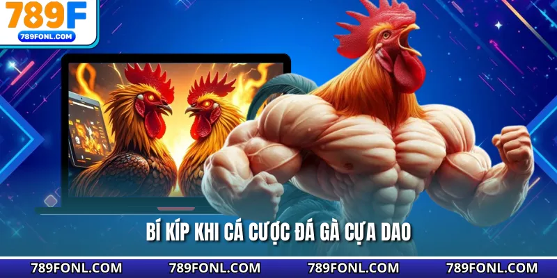 Bí kíp khi cá cược đá gà cựa dao
