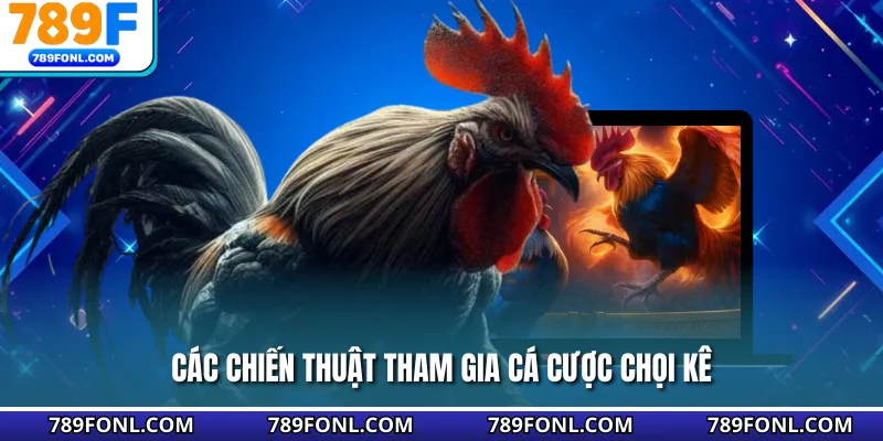 Các chiến thuật tham gia cá cược chọi kê