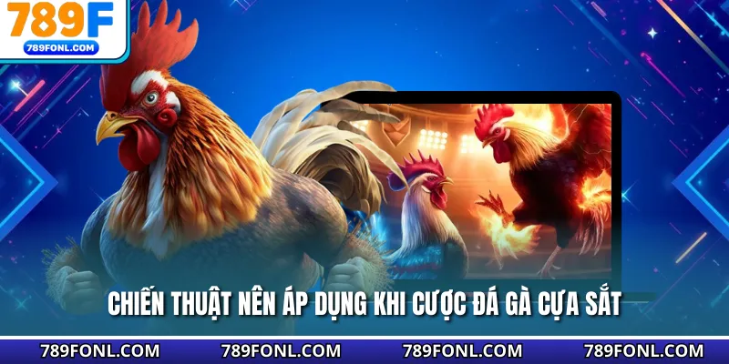 Chiến thuật nên áp dụng khi cược đá gà cựa sắt