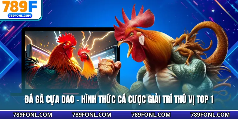 Đá Gà Cựa Dao - Hình Thức Cá Cược Giải Trí Thú Vị Top 1