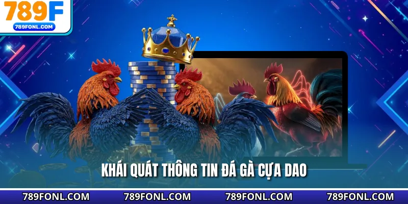 Khái quát thông tin đá gà cựa dao